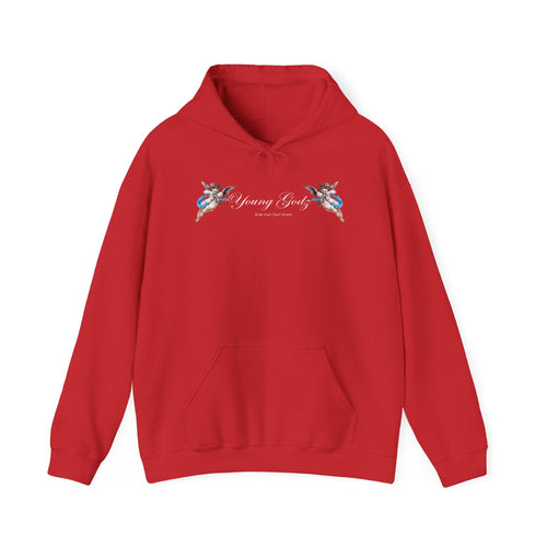 Angels Hoodie — Small Chest Wings Graphic